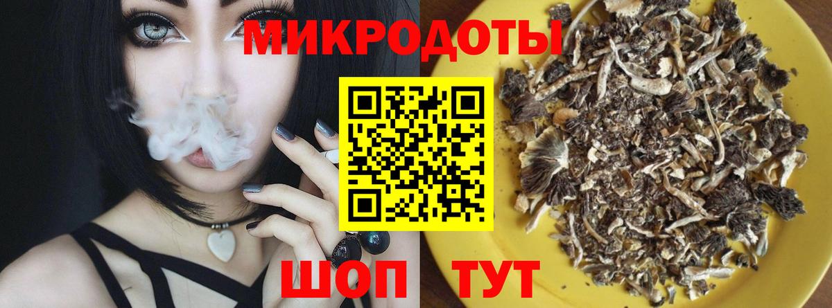 Нижнекамск  Псилоцибиновые грибы Psilocybe  Вход с VPN 