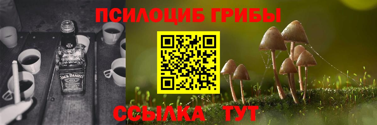 Галлюциногенные грибы MAGIC MUSHROOMS Нижнекамск